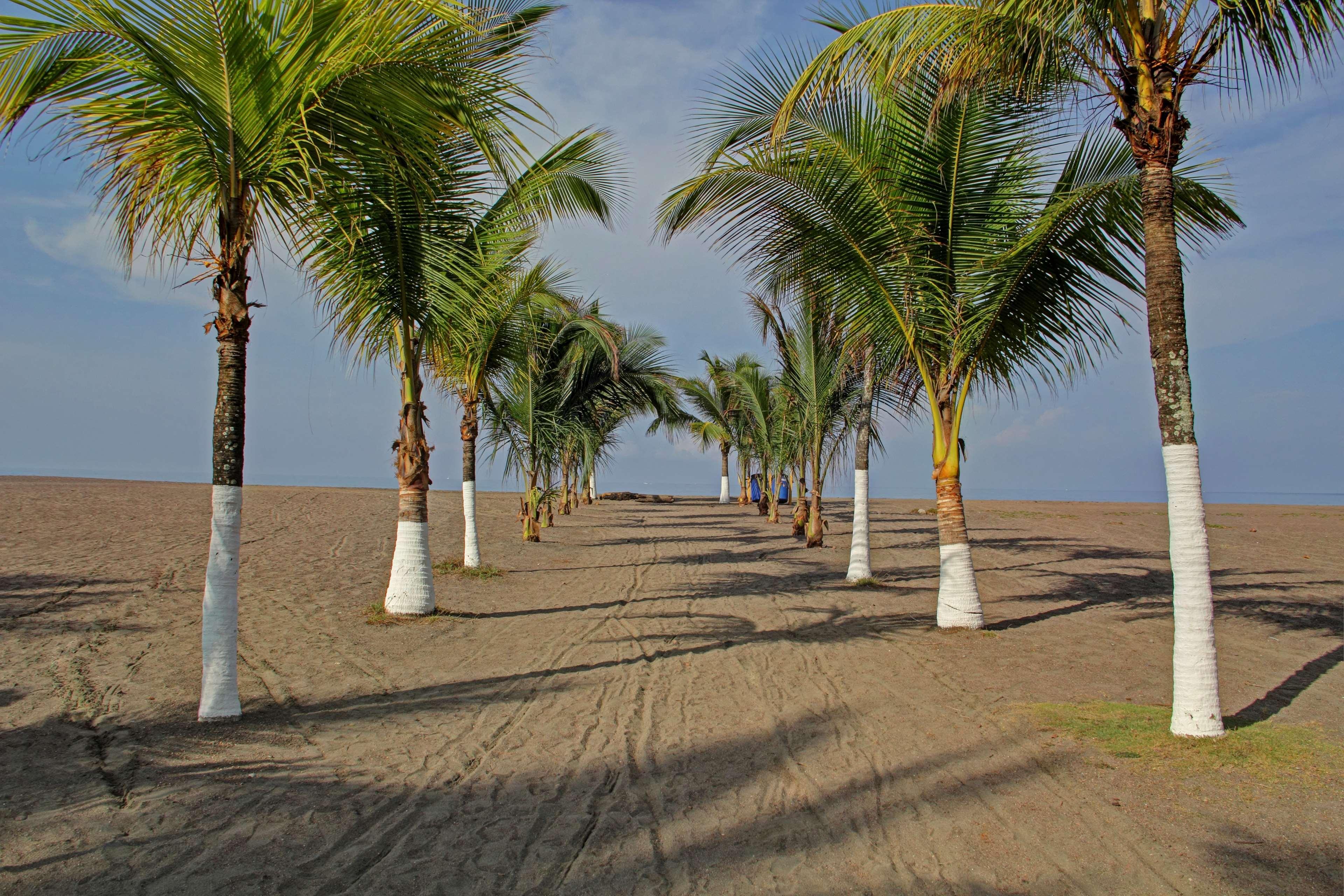 Best Western Jaco Beach All Inclusive Resort Bagian luar foto